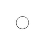 SATA O-Ring