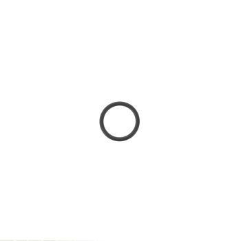 SATA O-Ring [für SATA vario top spray]