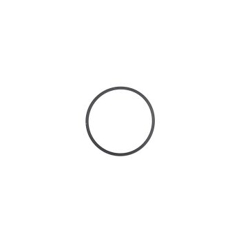 SATA O-Ring O-Ring für SATA filter 100 er, 300er und 400er Serie