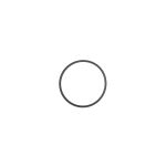 SATA O-Ring O-Ring für SATA filter 100 er, 300er und...