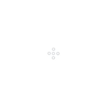 SATA O-Ring (5 St.)