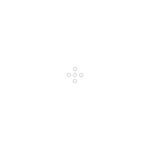 SATA O-Ring (5 St.)