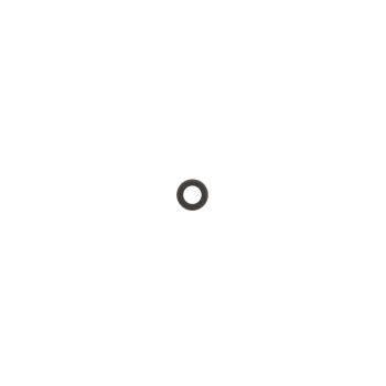 SATA O-Ring (2 St.)