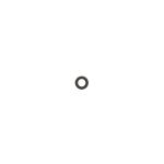 SATA O-Ring (2 St.)