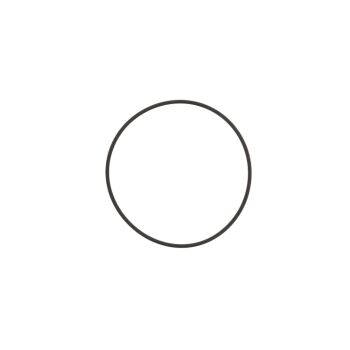 SATA O-Ring für SATA top air (1 Stück)